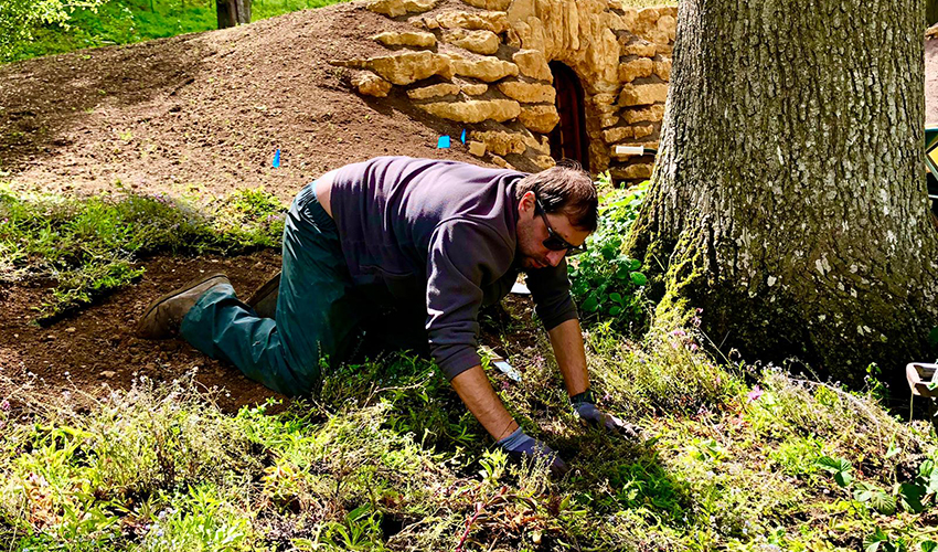 bence_newt_instagram