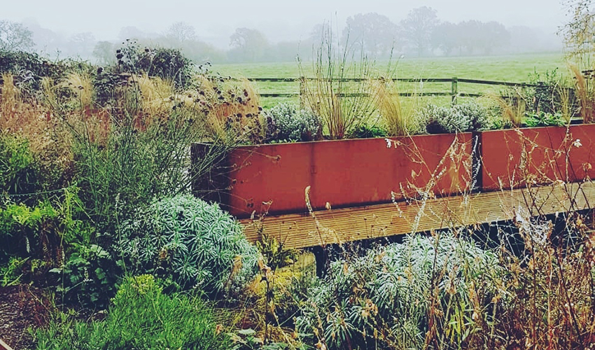 frosty_morning_instagram